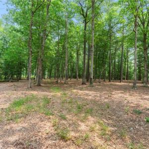 Photo #28 of 13.7ac Five Gables Woodlands, Gloucester, Virginia 13.7 acres