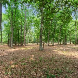 Photo #29 of 13.7ac Five Gables Woodlands, Gloucester, Virginia 13.7 acres