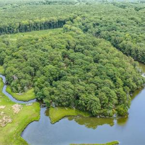 Photo #5 of 13.7ac Five Gables Woodlands, Gloucester, Virginia 13.7 acres
