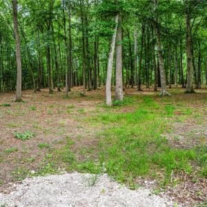 Photo #7 of 13.7ac Five Gables Woodlands, Gloucester, Virginia 13.7 acres