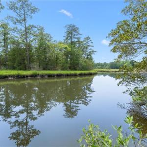 Photo #8 of 13.7ac Five Gables Woodlands, Gloucester, Virginia 13.7 acres