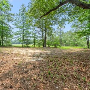 Photo #12 of 11.8ac Five Gables Woodlands, Gloucester, Virginia 11.9 acres