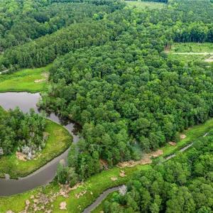 Photo #14 of 11.8ac Five Gables Woodlands, Gloucester, Virginia 11.9 acres