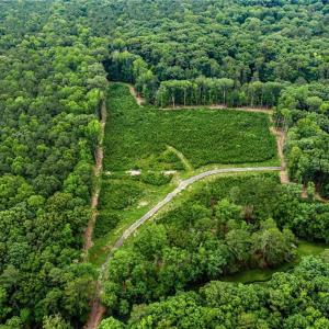 Photo #16 of 11.8ac Five Gables Woodlands, Gloucester, Virginia 11.9 acres