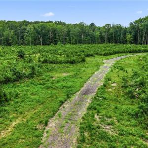 Photo #19 of 11.8ac Five Gables Woodlands, Gloucester, Virginia 11.9 acres