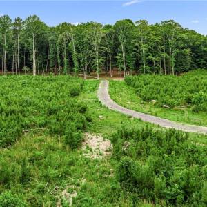 Photo #20 of 11.8ac Five Gables Woodlands, Gloucester, Virginia 11.9 acres