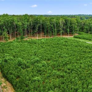 Photo #21 of 11.8ac Five Gables Woodlands, Gloucester, Virginia 11.9 acres