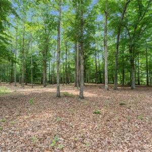 Photo #23 of 11.8ac Five Gables Woodlands, Gloucester, Virginia 11.9 acres
