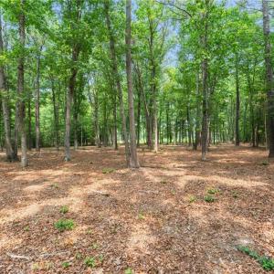 Photo #26 of 11.8ac Five Gables Woodlands, Gloucester, Virginia 11.9 acres