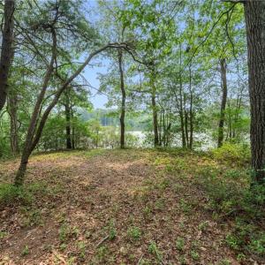 Photo #29 of 11.8ac Five Gables Woodlands, Gloucester, Virginia 11.9 acres