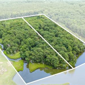 Photo #5 of 11.8ac Five Gables Woodlands, Gloucester, Virginia 11.9 acres