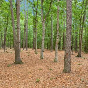 Photo #10 of 11.8ac Five Gables Woodlands, Gloucester, Virginia 11.9 acres