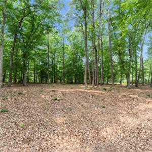 Photo #33 of 11.8ac Five Gables Woodlands, Gloucester, Virginia 11.9 acres