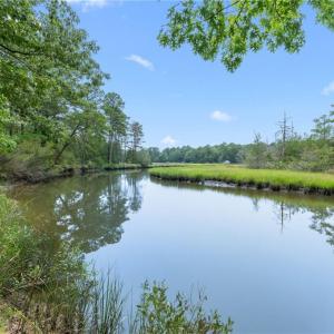 Photo #3 of 10.1ac Five Gables Woodlands, Gloucester, Virginia 10.2 acres