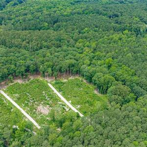 Photo #28 of 10.1ac Five Gables Woodlands, Gloucester, Virginia 10.2 acres
