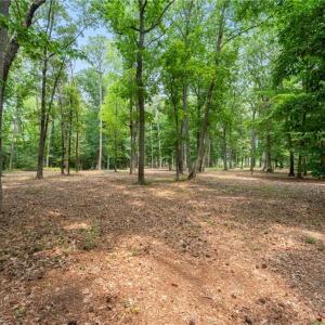 Photo #24 of 10.1ac Five Gables Woodlands, Gloucester, Virginia 10.2 acres