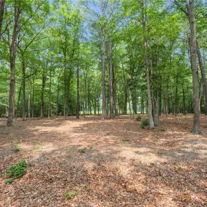 Photo #26 of 10.1ac Five Gables Woodlands, Gloucester, Virginia 10.2 acres