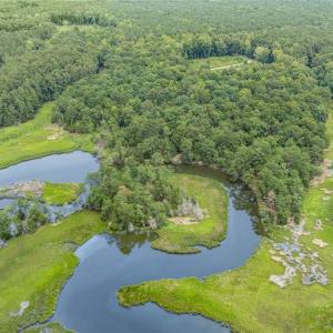 Photo #6 of 10.1ac Five Gables Woodlands, Gloucester, Virginia 10.2 acres