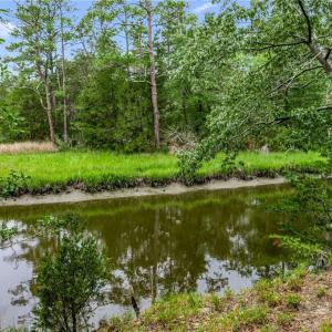 Photo #7 of 10.1ac Five Gables Woodlands, Gloucester, Virginia 10.2 acres