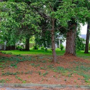 Photo #2 of 3913 South Street, Portsmouth, Virginia 0.2 acres
