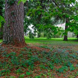 Photo #3 of 3913 South Street, Portsmouth, Virginia 0.2 acres