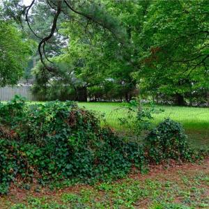 Photo #1 of 3915 South Street, Portsmouth, Virginia 0.1 acres
