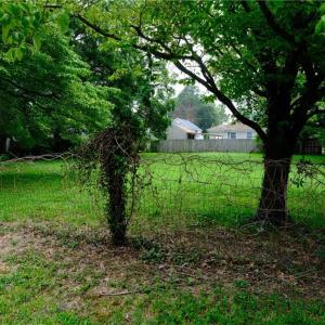Photo #3 of 3917 South Street, Portsmouth, Virginia 0.1 acres