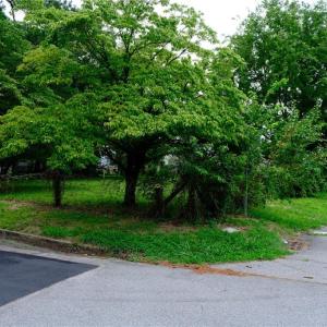 Photo #4 of 3917 South Street, Portsmouth, Virginia 0.1 acres