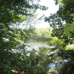 Photo #18 of 2281 Kings Fork Road, Suffolk, Virginia 10.6 acres