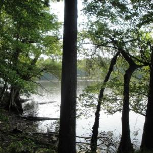 Photo #23 of 2281 Kings Fork Road, Suffolk, Virginia 10.6 acres