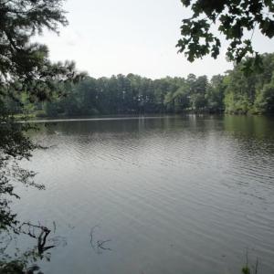Photo #24 of 2281 Kings Fork Road, Suffolk, Virginia 10.6 acres