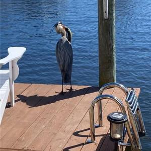 Photo #19 of 3665 Sandpiper Road, Virginia Beach, Virginia