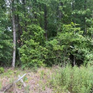Photo #11 of LOTS Railroad Avenue, Wakefield, Virginia 1.9 acres