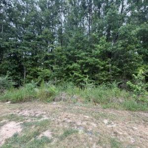 Photo #3 of LOTS Railroad Avenue, Wakefield, Virginia 1.9 acres