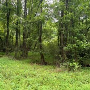 Photo #5 of LOTS Railroad Avenue, Wakefield, Virginia 1.9 acres