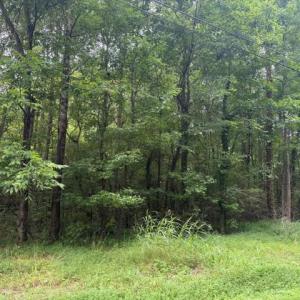 Photo #6 of LOTS Railroad Avenue, Wakefield, Virginia 1.9 acres