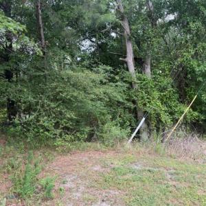 Photo #7 of LOTS Railroad Avenue, Wakefield, Virginia 1.9 acres