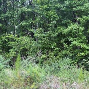 Photo #10 of LOTS Railroad Avenue, Wakefield, Virginia 1.9 acres
