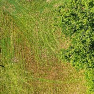 Photo #3 of 522 Douglas Avenue, Portsmouth, Virginia 0.2 acres