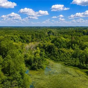 Photo #12 of LOT 6 Birdsong Road, Ebony, Virginia 2.0 acres