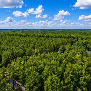 Photo #13 of LOT 6 Birdsong Road, Ebony, Virginia 2.0 acres