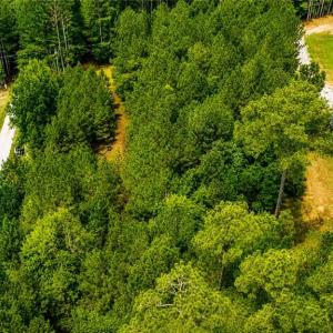 Photo #15 of LOT 6 Birdsong Road, Ebony, Virginia 2.0 acres