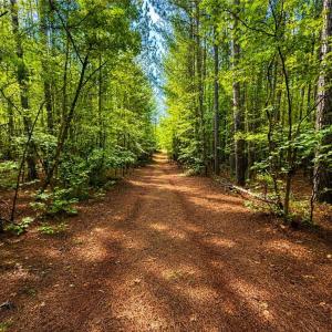Photo #10 of LOT 6 Birdsong Road, Ebony, Virginia 2.0 acres
