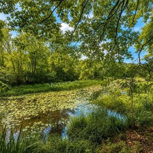 Photo #1 of LOT 6 Birdsong Road, Ebony, Virginia 2.0 acres