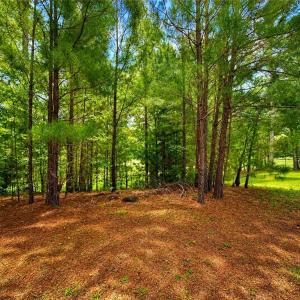 Photo #11 of LOT 6 Birdsong Road, Ebony, Virginia 2.0 acres