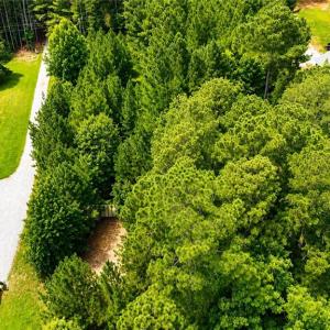 Photo #16 of LOT 6 Birdsong Road, Ebony, Virginia 2.0 acres