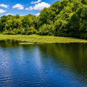 Photo #15 of LOT 5 Birdsong Road, Ebony, Virginia 2.0 acres
