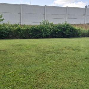 Photo #3 of 9000 Spring Street, Hampton, Virginia 0.2 acres