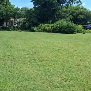 Photo #5 of 9000 Spring Street, Hampton, Virginia 0.2 acres