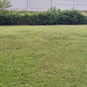 Photo #7 of 9000 Spring Street, Hampton, Virginia 0.2 acres